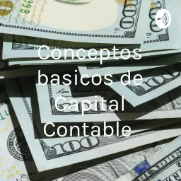 Conceptos basicos de Capital Contable Podcast artwork