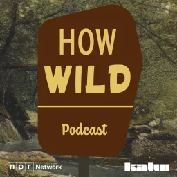 How Wild Podcast artwork