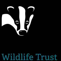 Cumbria Wildlife Trust’s Podcast artwork