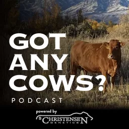 Got Any Cows? Podcast artwork