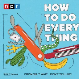 How To Do Everything Podcast artwork