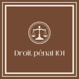 Droit Pénal 101