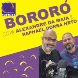 BORORÓ: a música no Brasil do século XX