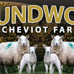 Roundwood cheviot farm