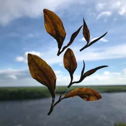 Разница во времени. Ежедневные чайные новости