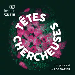 Têtes Chercheuses Podcast artwork