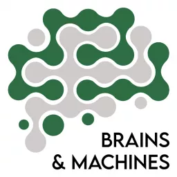 Brains and Machines Podcast artwork