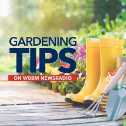 Gardening Tips on WBBM Newsradio Podcast artwork