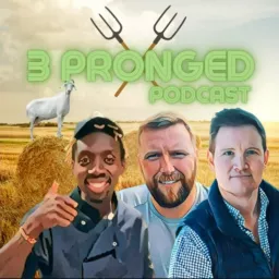 3 pronged Podcast artwork