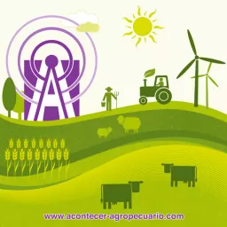 ACONTECER AGROPECUARIO (Podcast) - http://www.acontecer-agropecuario.com artwork