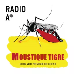 Moustique Tigre, mieux vaut prévenir que guérir Podcast artwork