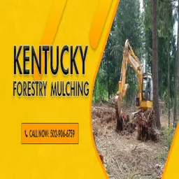 Best Land Clearing Services in Kentucky Podcast artwork