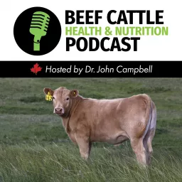 The Beef Cattle Health and Nutrition Podcast artwork