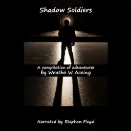 Shadow Soldier Series