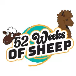 52 Weeks of Sheep