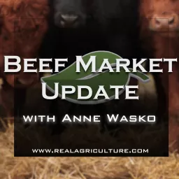 Beef Market Update – RealAgriculture Podcast artwork