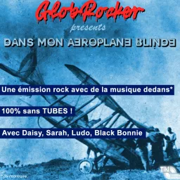 DANS MON AÉROPLANE BLINDÉ Podcast artwork