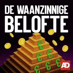 De waanzinnige belofte