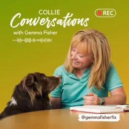 Collie Conversations