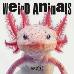 Weird Animals