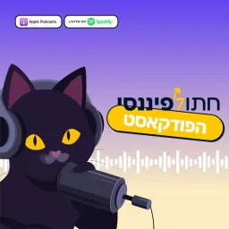 חתול פיננסי