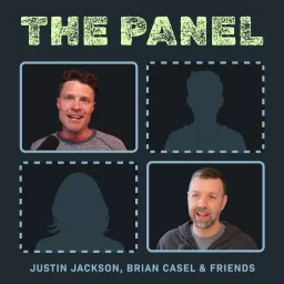 The Panel Podcast artwork