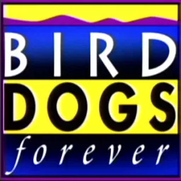 Bird Dogs Forever Podcast artwork