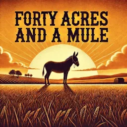 Forty Acres and a Mule