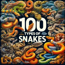 100 Types of Snakes