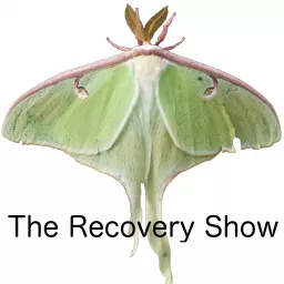 The Recovery Show » Finding serenity through 12 step recovery in Al-Anon – a podcast artwork