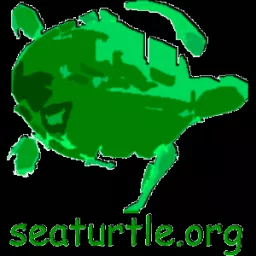 Sea Turtle Multimedia Guide Podcast artwork