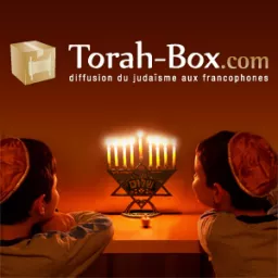 Podcast Torah-Box.com artwork