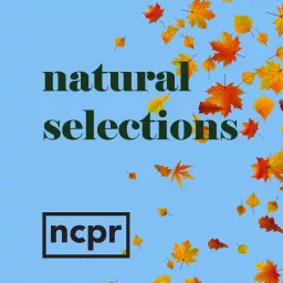 Natural Selections Podcast artwork