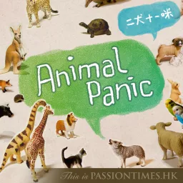 Animal Panic - PassionTimes Podcast artwork